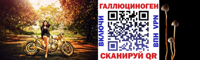 где продают наркотики Любим Псилоцибиновые грибы Cubensis